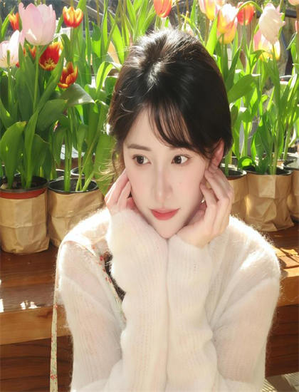 高清资源：《美国鼠谭3》导演手法解析：艺术风格与技术特点分析